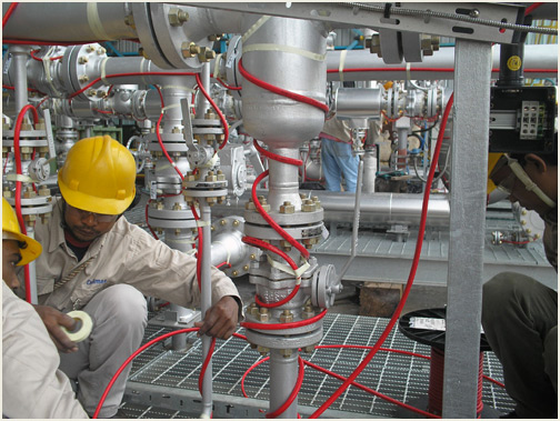 Electric Heat Tracing Thermon Việt Nam